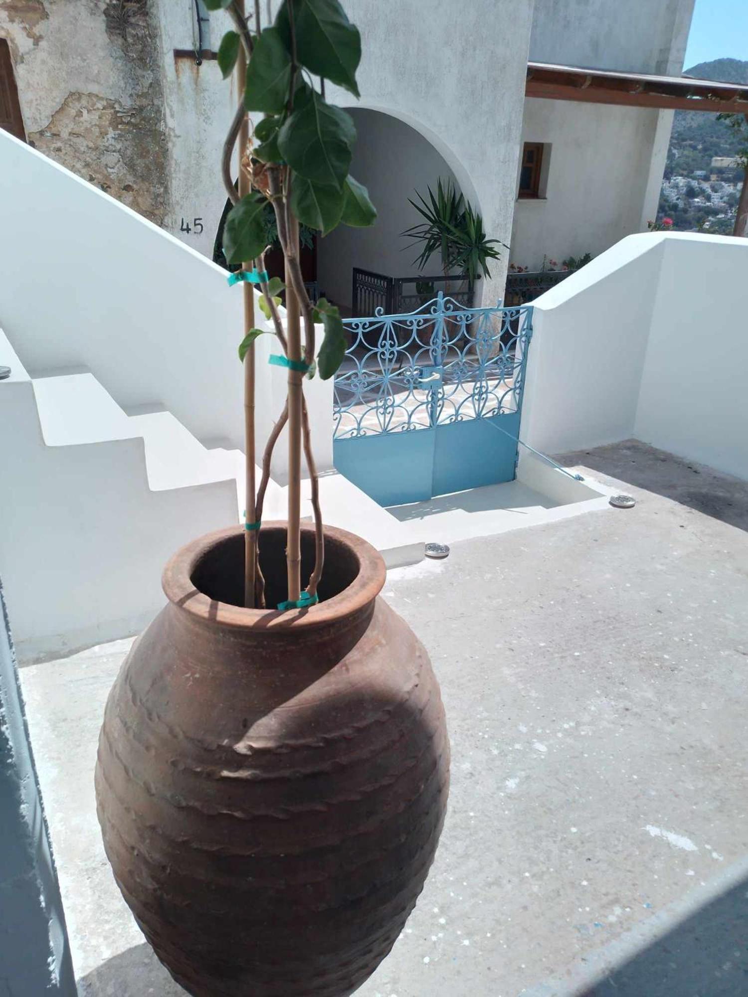 Villa Blue House Koronos Exterior foto
